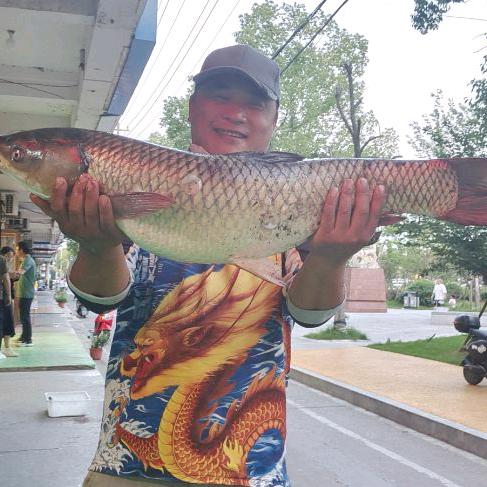 襄渔鱼饵～俞飞