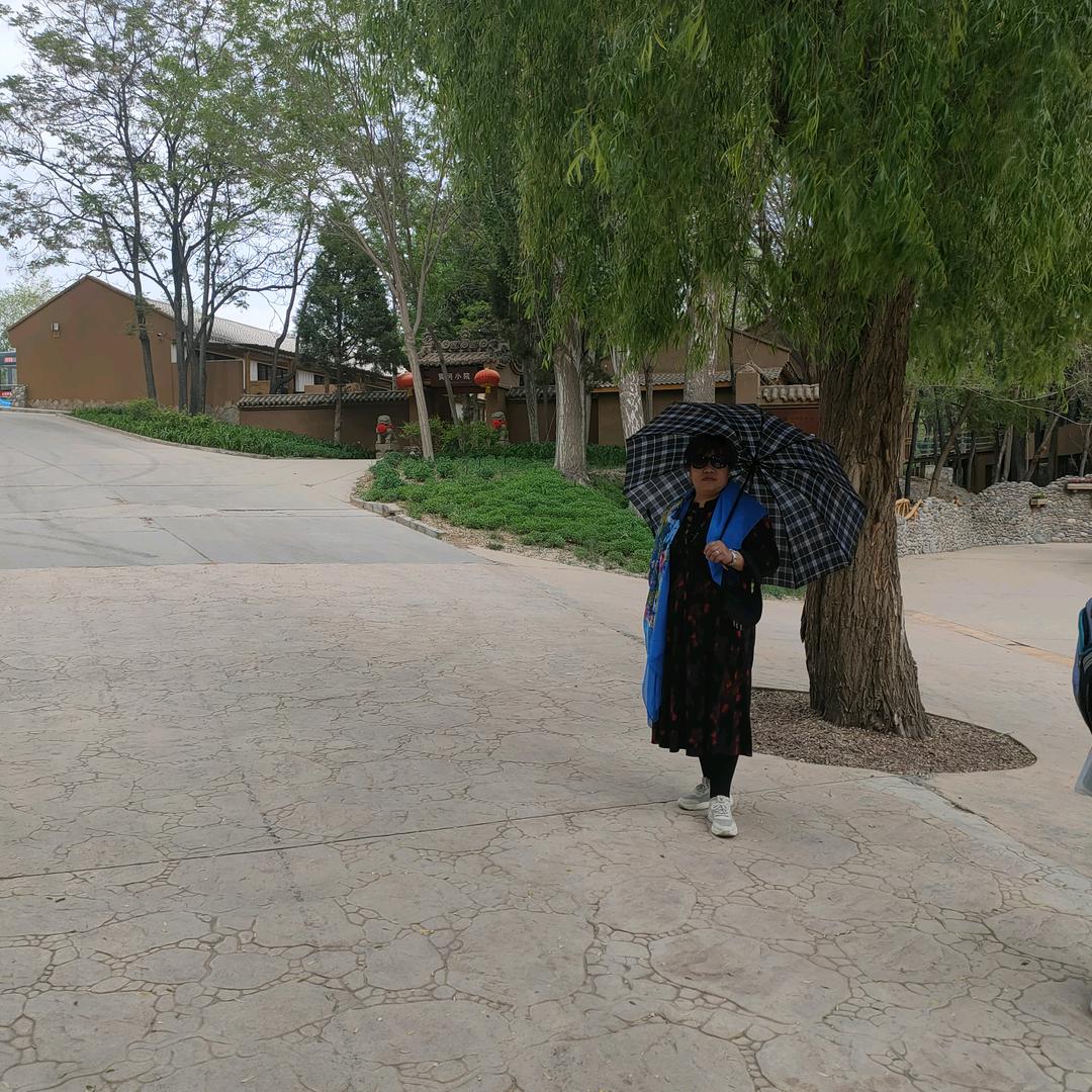 装修花姐。🌹🌹