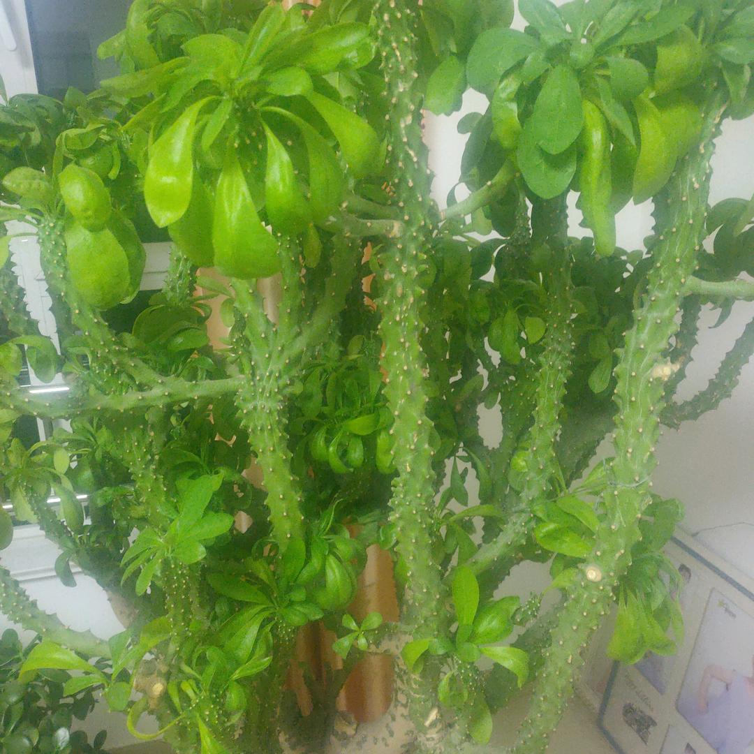 今生辉煌