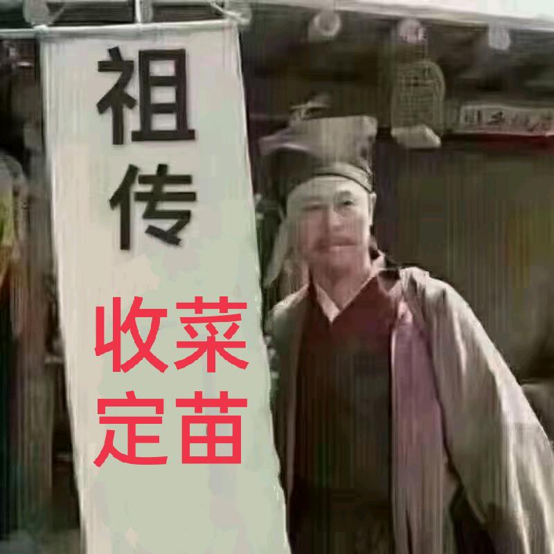 青州市恒鑫蔬菜专业合作社张强