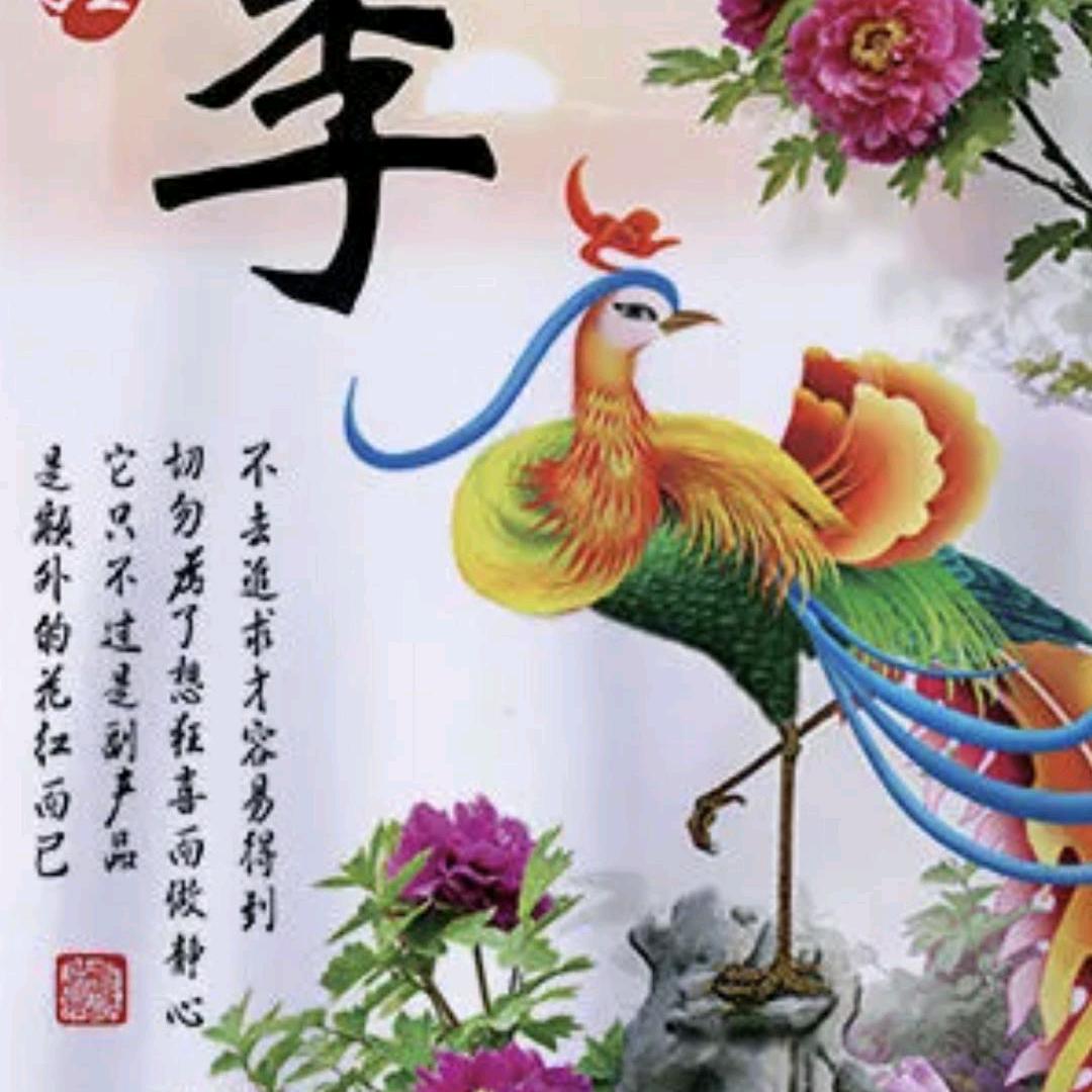 开心每一天
