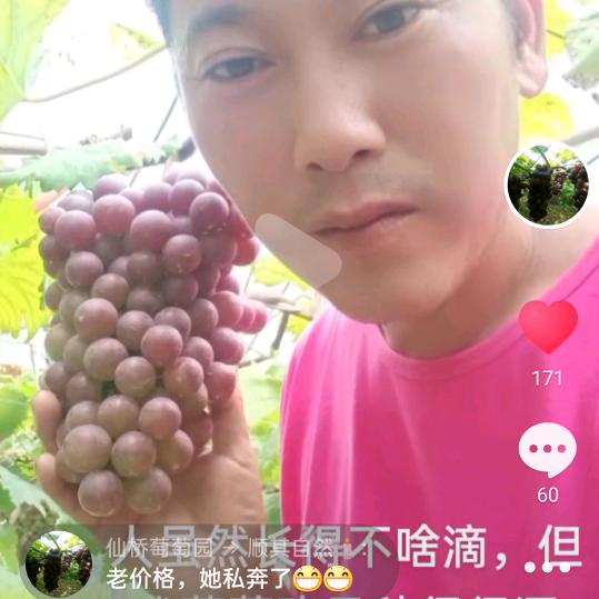 仙桥萄萄园