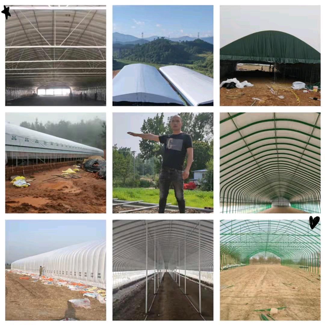 刘邵顺大棚建设联盟_刘洋