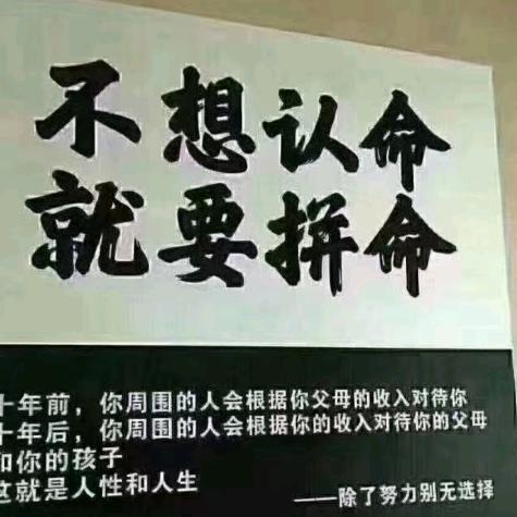 五花马