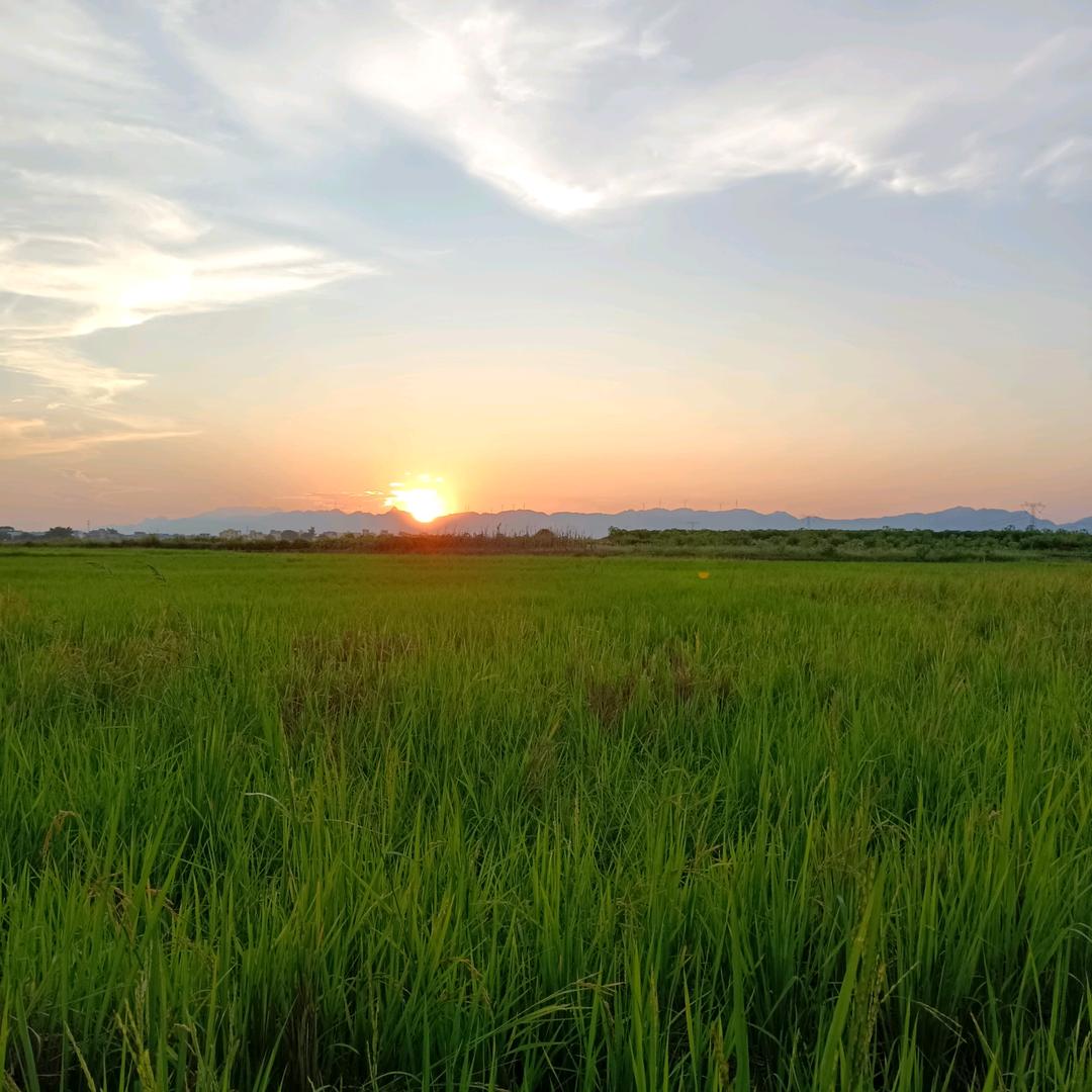 梁♥家❤ 大小姐