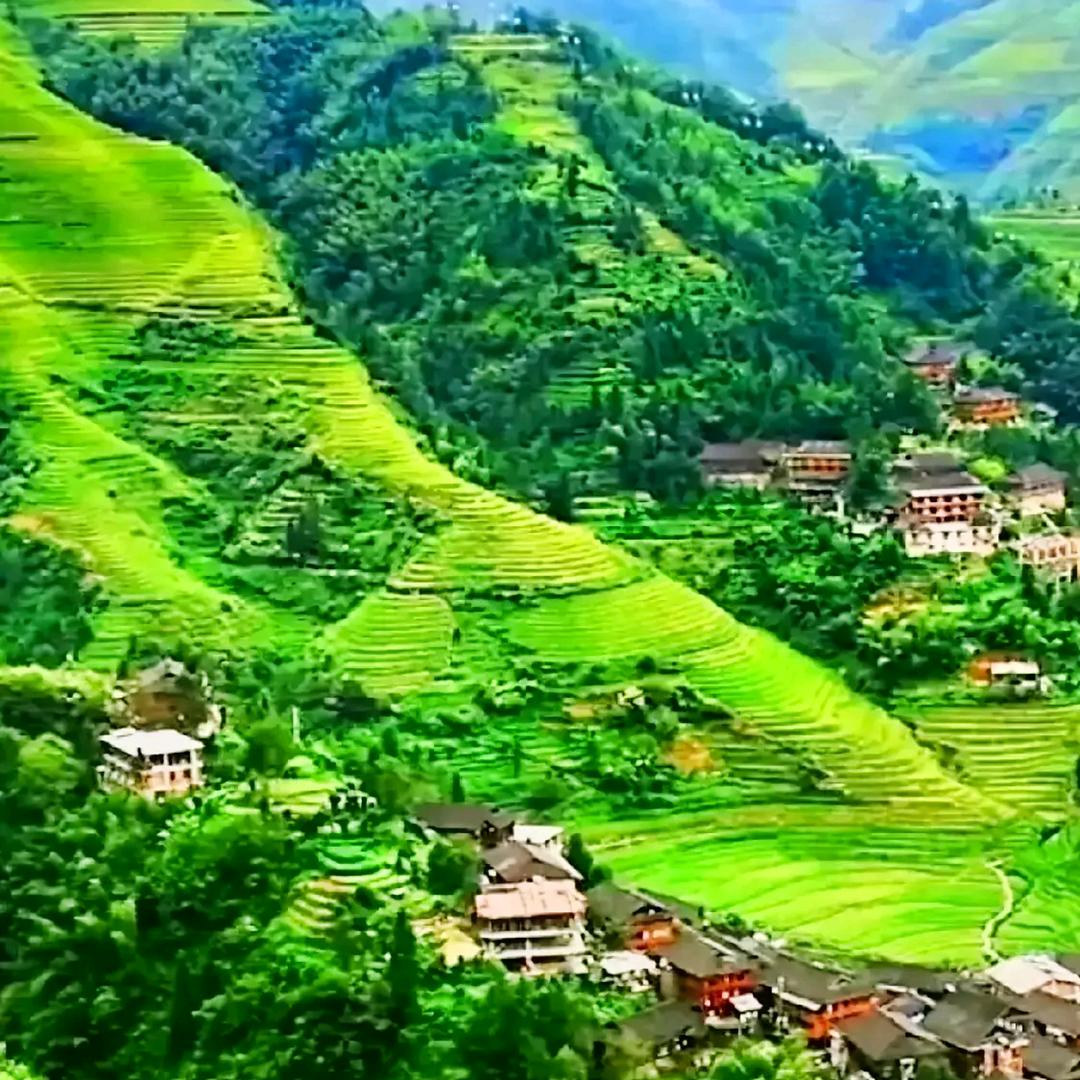 ☘️梦想☘️