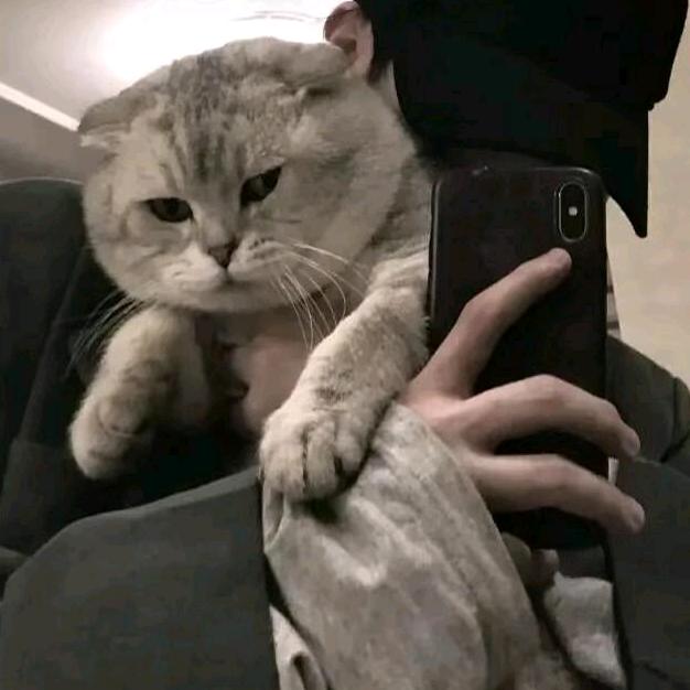 往楠