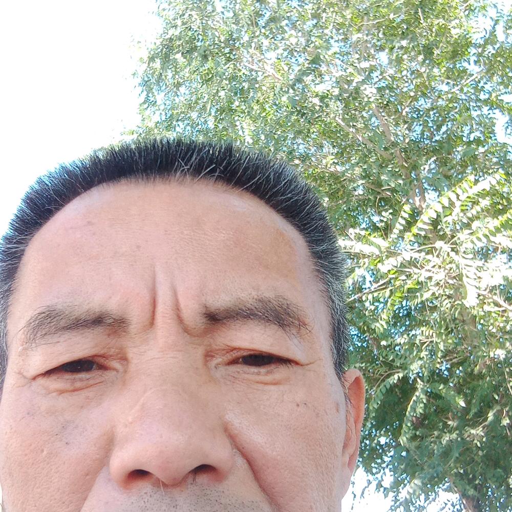 本来