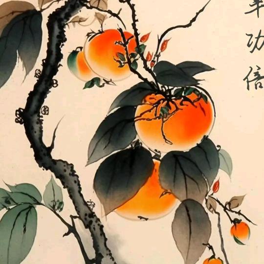 加油《家有》宝贝