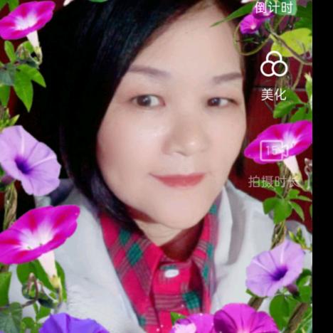 王凤鸾