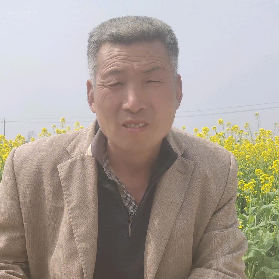 河南豫药网