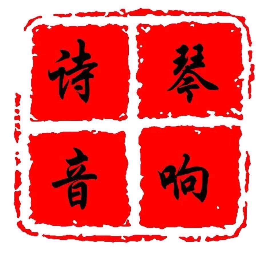 百色右江区林隆.诗琴 汽车音响店