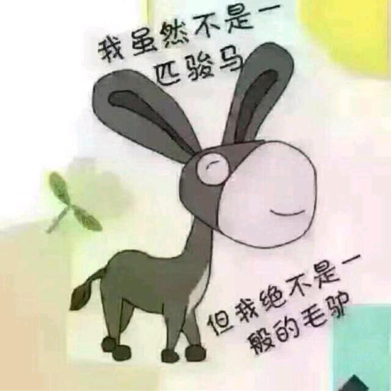 小钢镚063