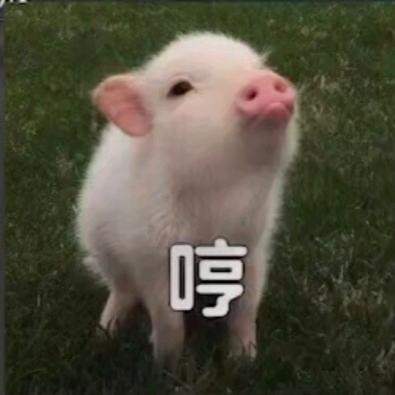 初心