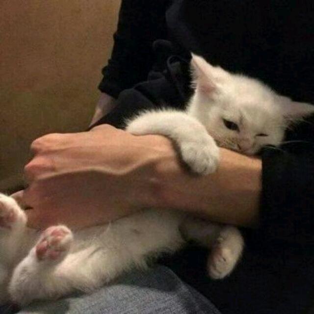 我戒不掉你