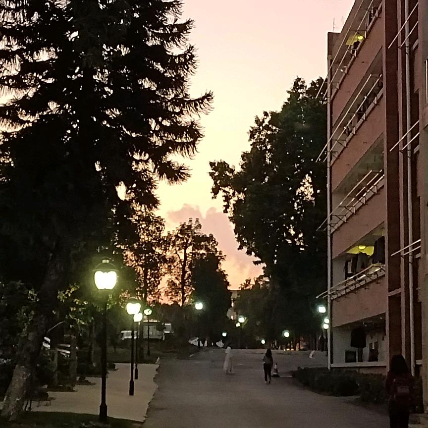 旺旺小福星～