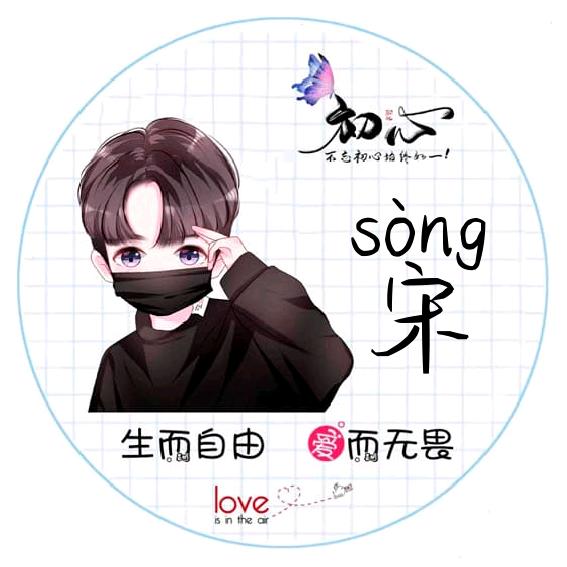 宋师傅水电团队