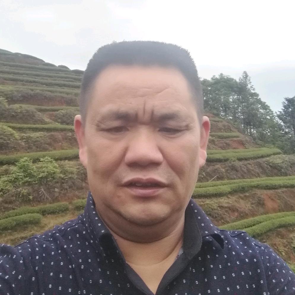 武夷山胡大根