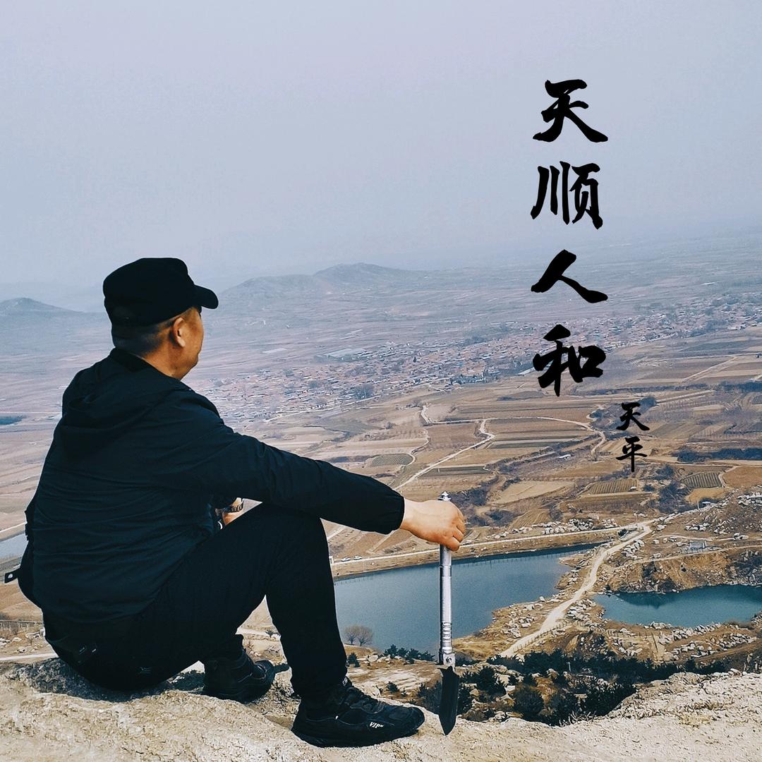 天平(非标设备设计制作)
