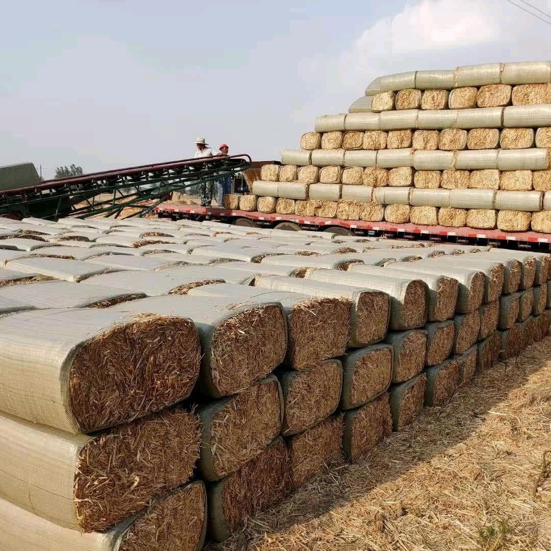双盈南阳牧草批发（源头厂家）