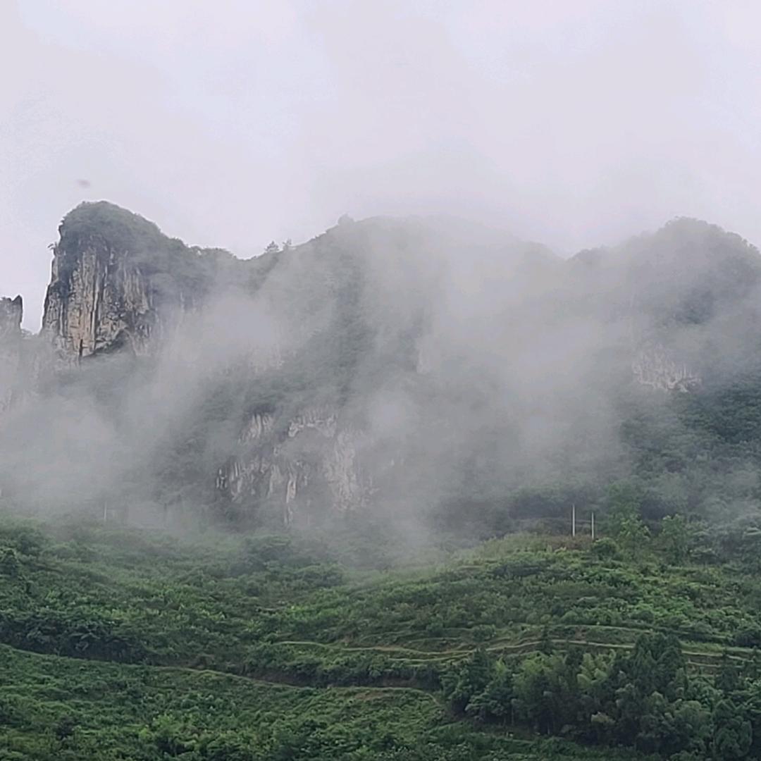 掐死你的温柔