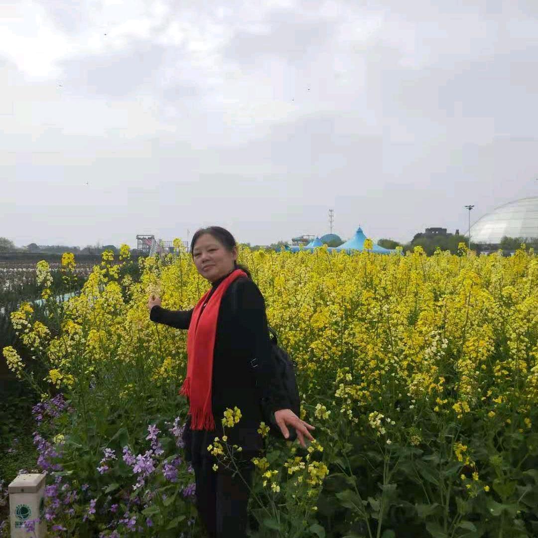 花好月圆
