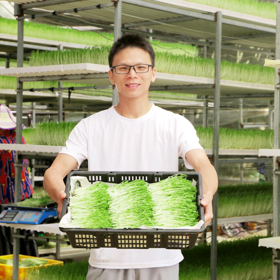 苗娃娃合作社（亮叔）