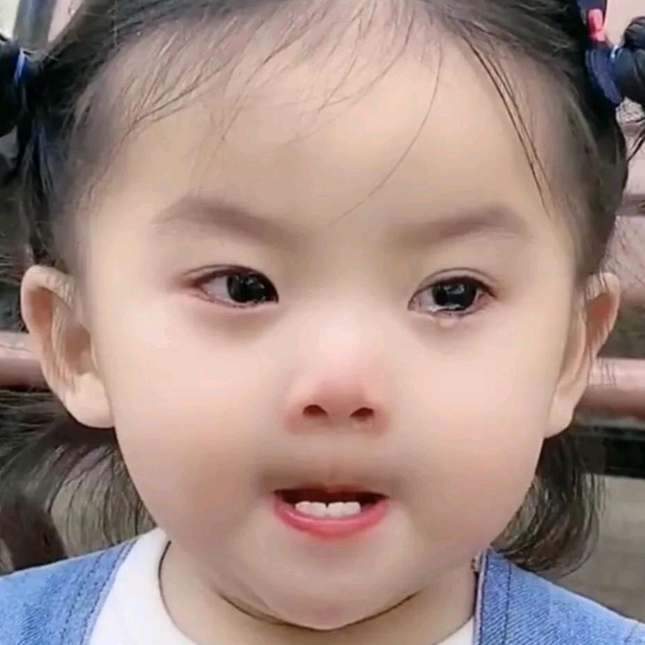 蛋蛋的香