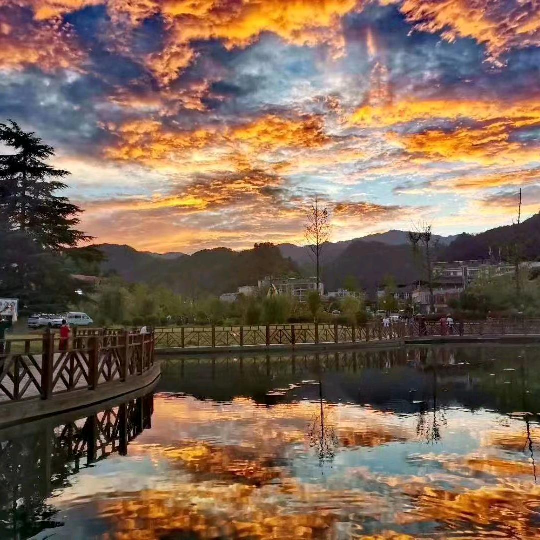 开心果