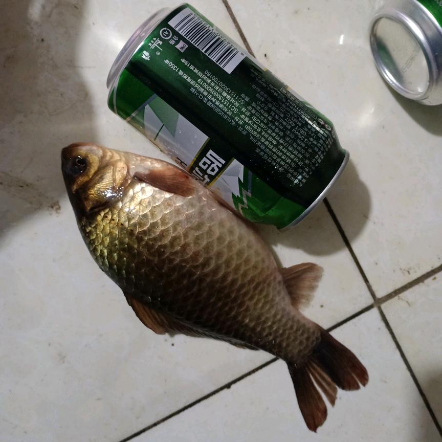 快乐人生！！！