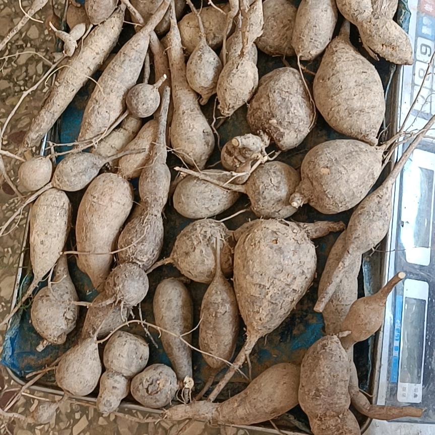大盘汤料