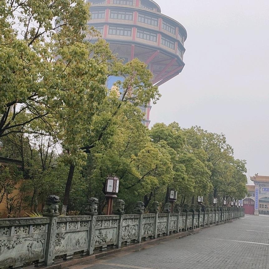 小辰辰