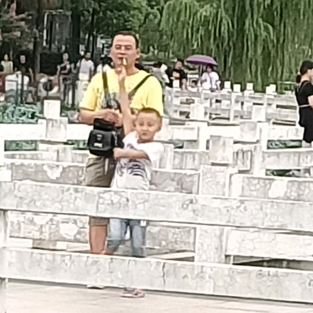 飞