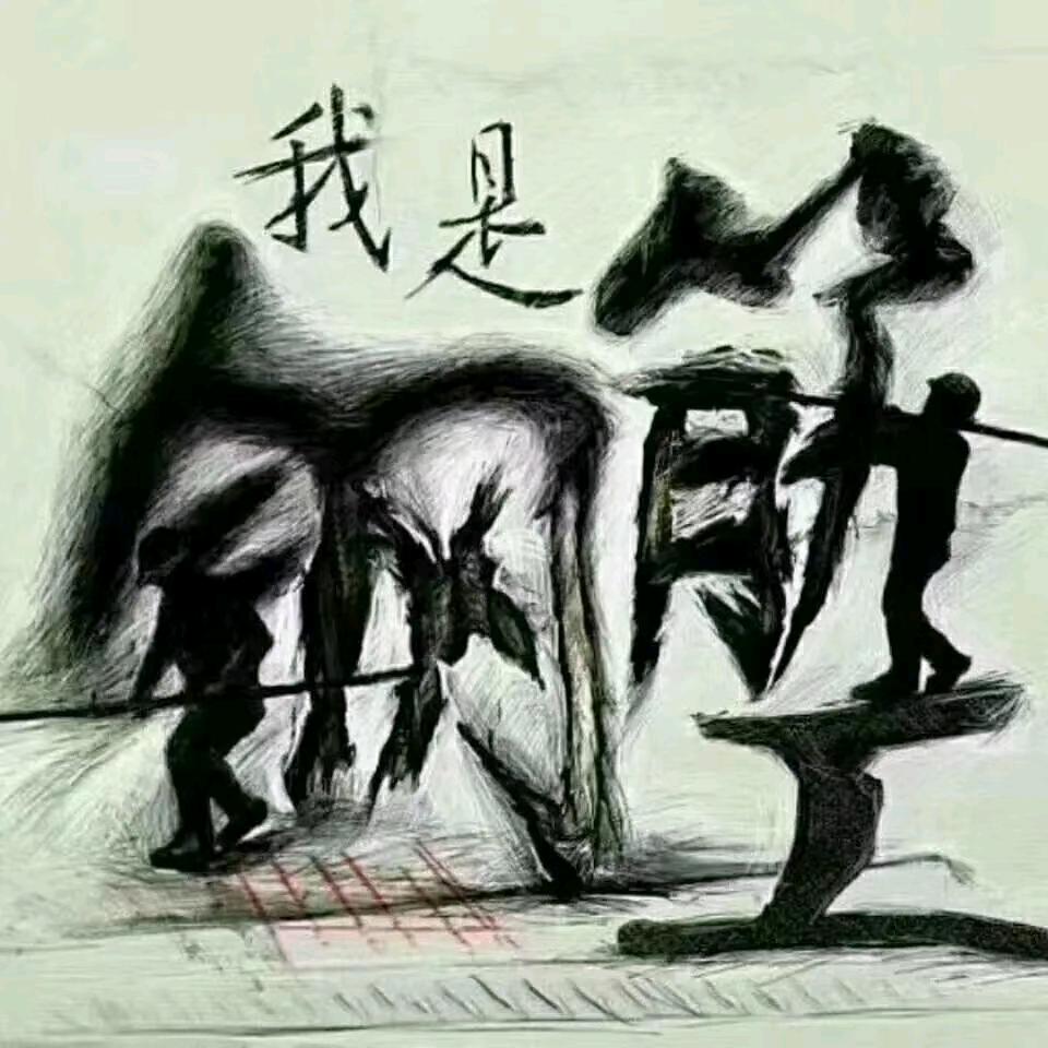 用户8406369221530五哥