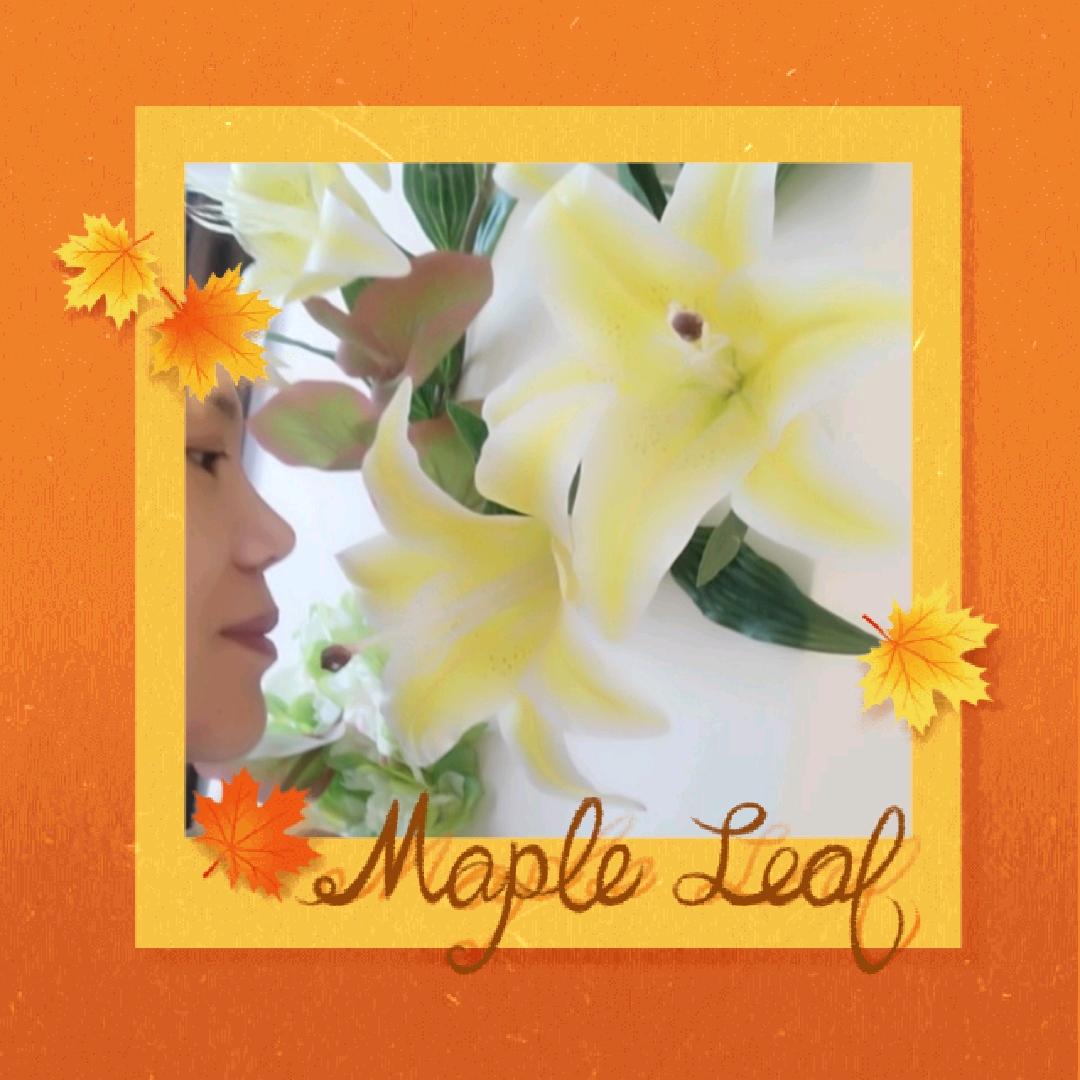 木子李家二姑娘（75年🐰）