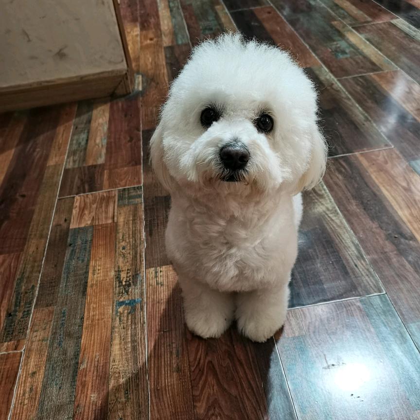 顾先生