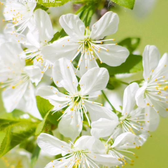 放过别人等于放过自己