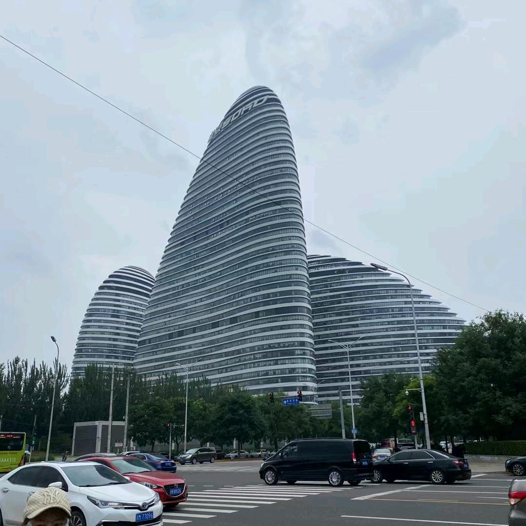 鱼儿