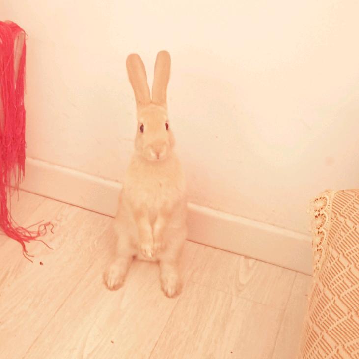 super吃嘛嘛香🦄️⁵²¹