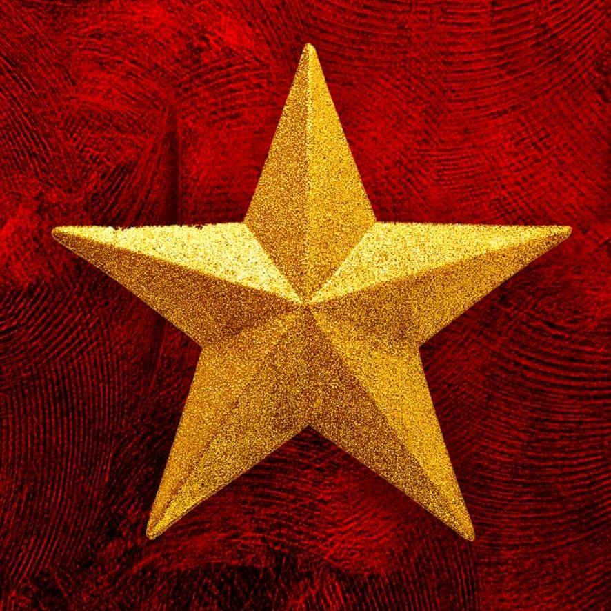 会飞的小火鸡（摄影）