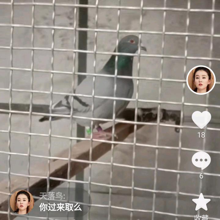 王红斌干菜水菜
