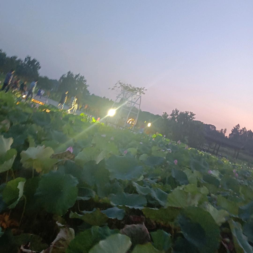开心快乐！1314
