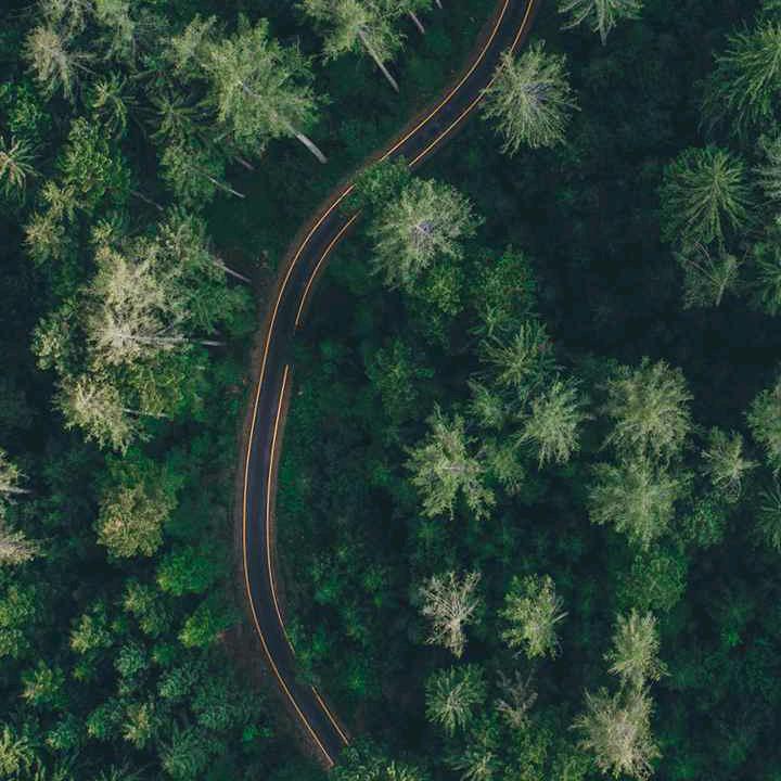 小苏卖卢柑