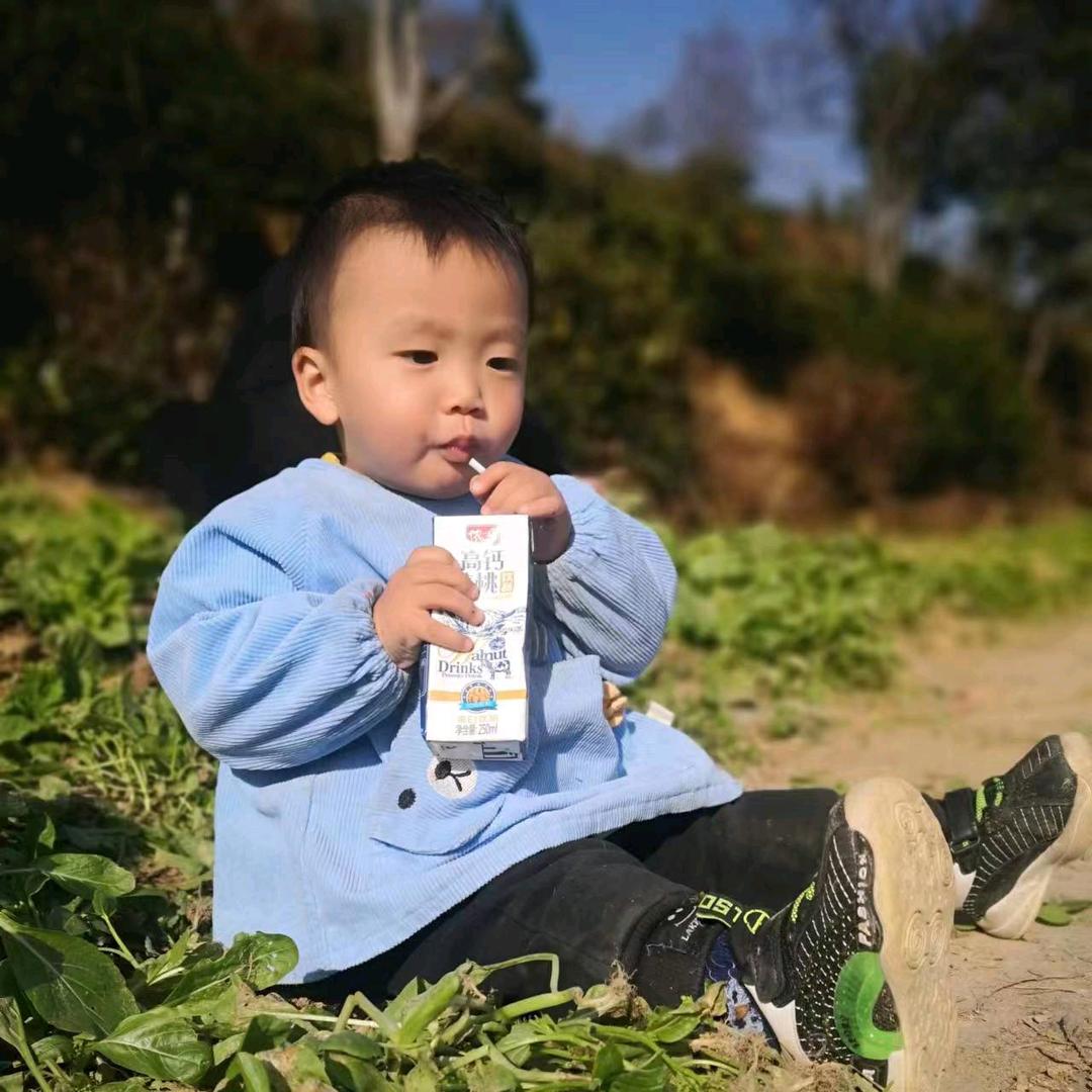 骆驼刺