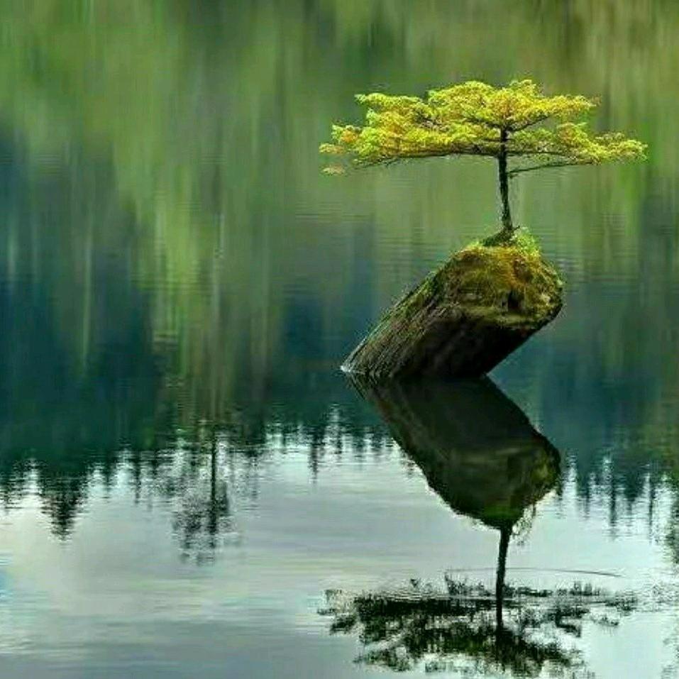 好孩子运动鞋服专营店好物推荐