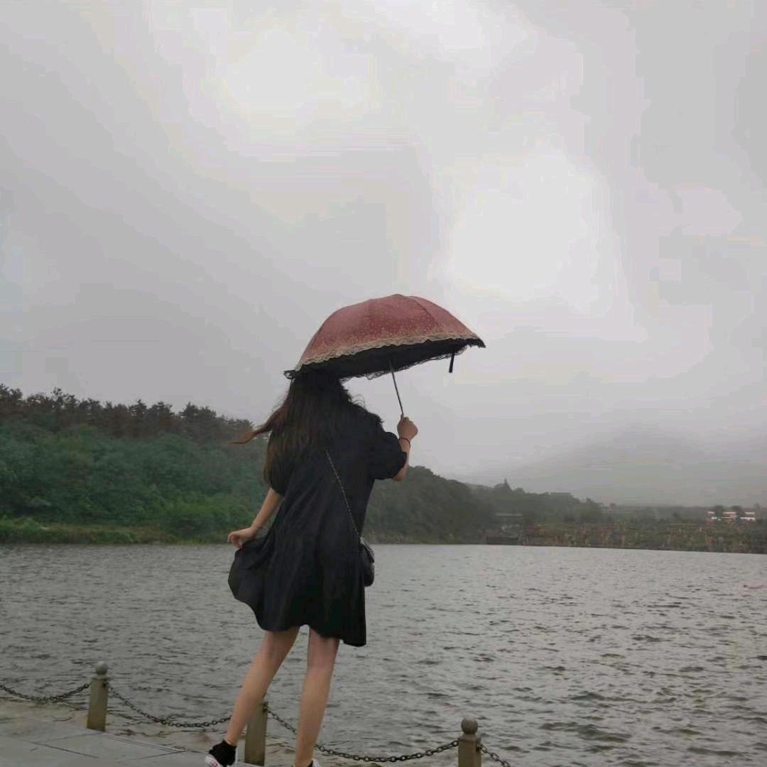 杜杜