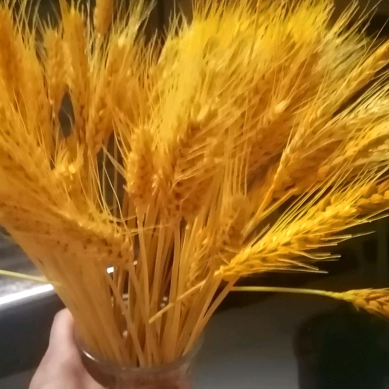 回忆《拒绝连赞》