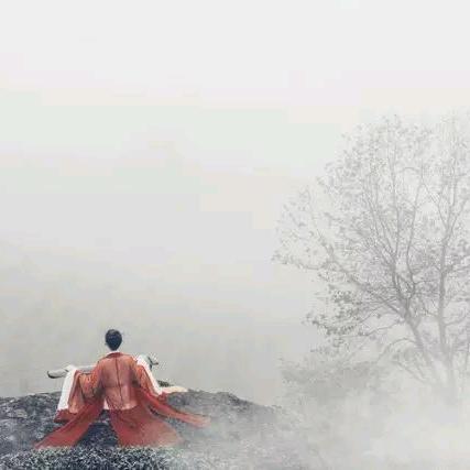 🌸心之所向🌸