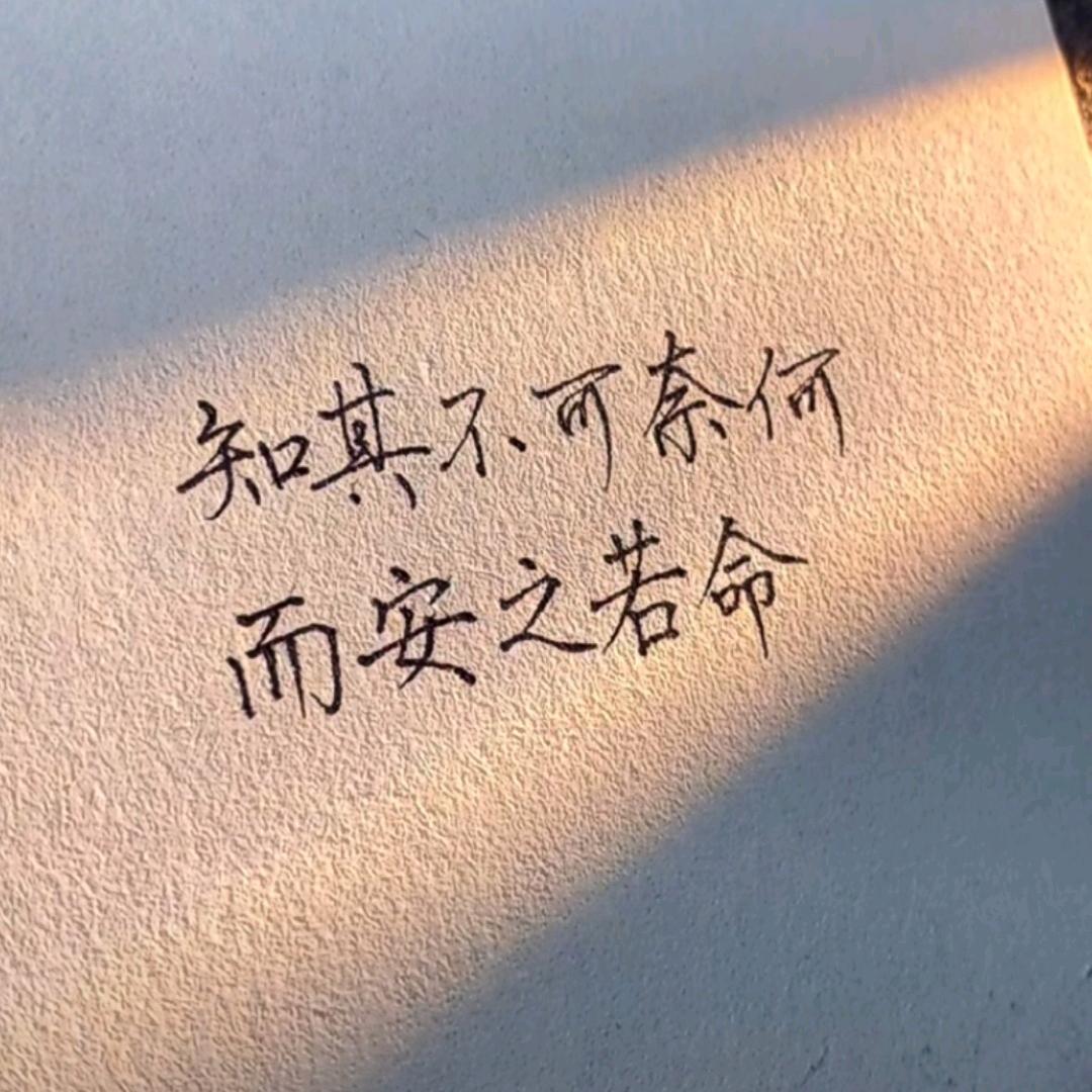 魏莱可期头像