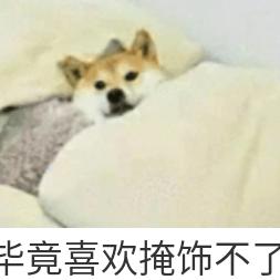 奇闻趣事